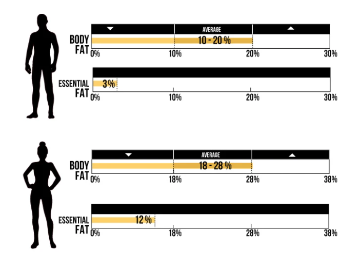 O que fazer para reduzir a gordura abdominal